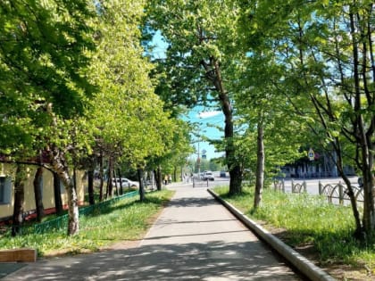 Все кандидаты на пост главы администрации Елизова продолжат участвовать в конкурсе