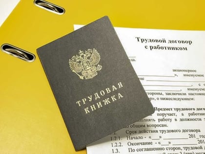 На Камчатке мать-«кукушка» попалась на фальшивом трудовом договоре