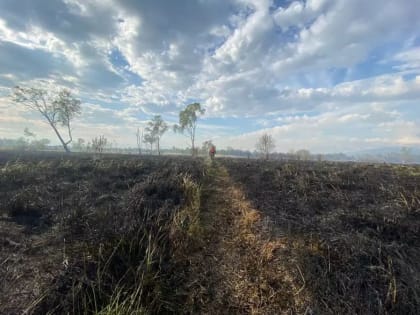 Угроза лесных пожаров выросла в трех селах Камчатки