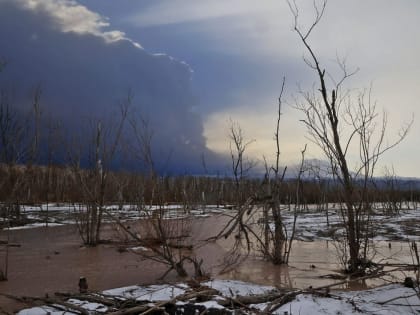Ключевской наделал шума: власти Камчатки просят людей не приближаться к вулкану