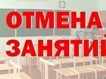 Занятия в школах Петропавловска для учеников второй смены отменены из-за циклона