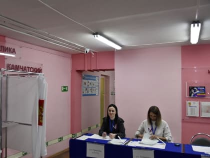 Голосование на выборах президента РФ в Елизовском районе проходит строго в соответствии со всеми требованиями законодательства.