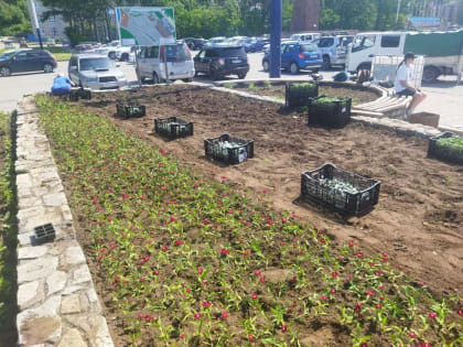 В центре Петропавловска продолжаются работы по озеленению