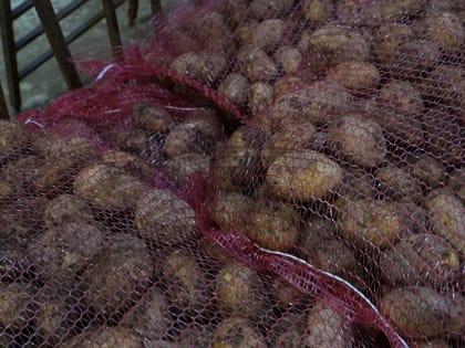 На Камчатке началось строительство первого в современной истории полуострова овощехранилища