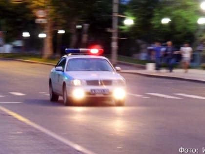 На Елизовской трассе водитель иномарки отправил в больницу двух человек