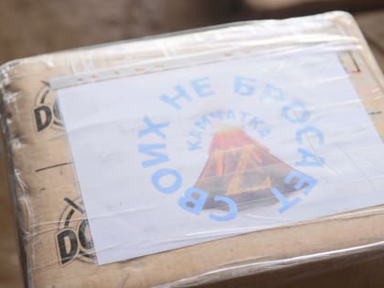 Молодёжь Камчатки: приложим максимальные усилия для того, чтобы помочь бойцам на передовой