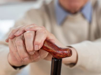 Бесплатные курсы английского языка для пенсионеров организуют на Камчатке