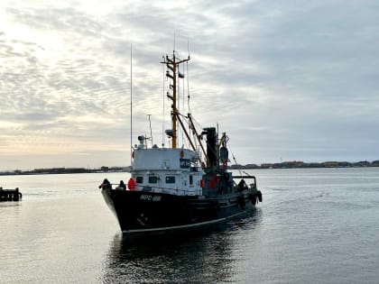 В Усть-Камчатске стартовал промысел белорыбицы