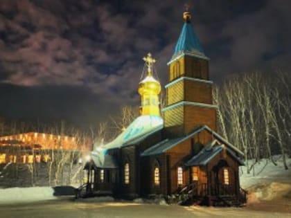 Крещенские купания в Елизовском районе