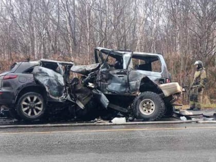 В ГИБДД сообщили подробности аварии с пятью погибшими на Камчатке