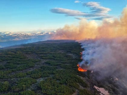 Власти Камчатки ищут подрядчика для мониторинга лесных пожаров за 17 млн рублей