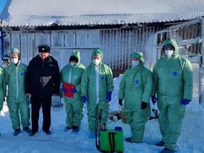 Поголовье кур в селе Никольском на Камчатке из-за выявления птичьего гриппа уничтожаться не будет