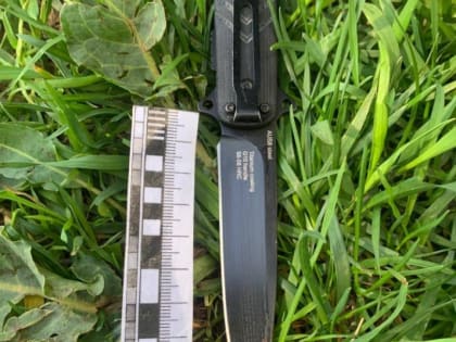 На Камчатке возбуждено уголовное дело по факту покушения на убийство подростка