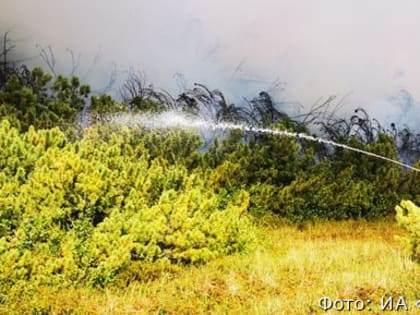 В Кроноцком заповеднике подготовились к борьбе с лесными пожарами