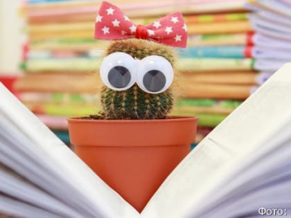 Стало известно новое расписание ЕГЭ-2024