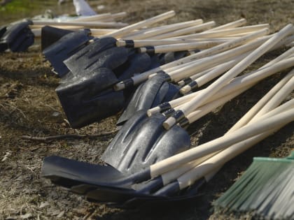 Глава Камчатки Владимир Солодов принял участие в молодёжном субботнике