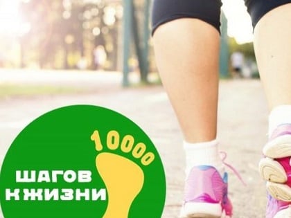 На Камчатке массовая пешая прогулка перенесена на 22 апреля