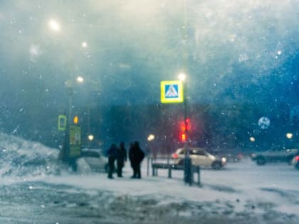 Синоптики уточнили параметры идущего на Камчатку снежного урагана