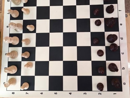 Камчатские дети могут обучиться игре в шахматы на бесплатной основе в рамках социального заказа