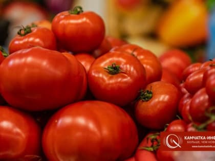 Губернатор Солодов обещает победить дорогие помидоры и огурцы на Камчатке