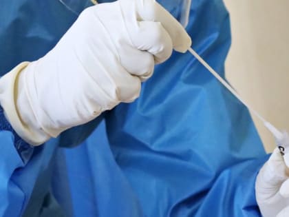 Стабильная ситуация с заболеваемостью COVID-19 и гриппом сохраняется на Камчатке