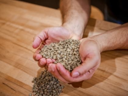 Самозапрет на кредиты: как будет работать новая мера