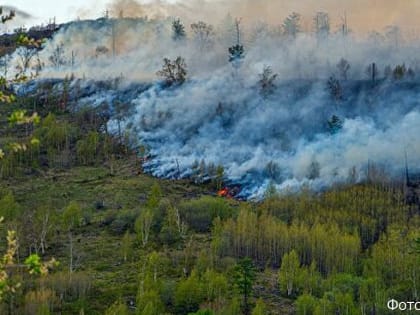 Власти Камчатки готовы потратить 17 миллионов рублей на обследование лесных пожаров