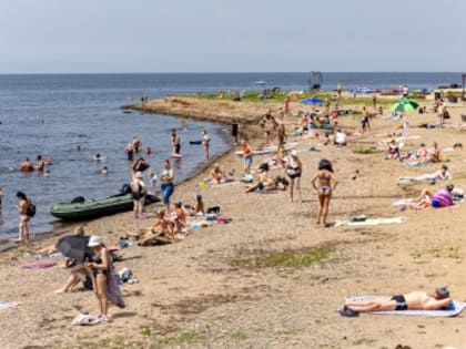 Сочи станет российским Дубаи? Искусственный остров — новый центр туризма 