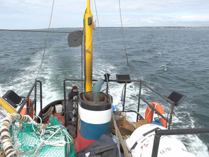 Охотоморская минтаевая путина стартовала на Камчатке 1 января