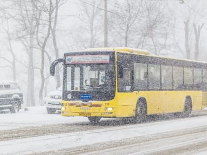 Депутаты предлагают штрафовать водителей автобусов за одну провинность