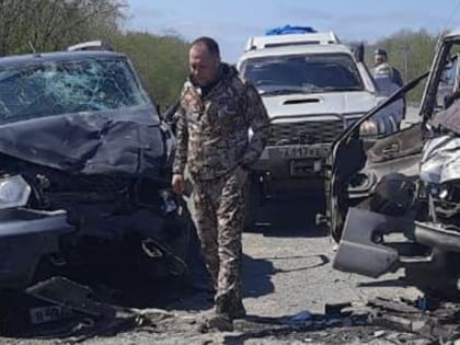 Аварию в&nbsp;которой пострадал руководитель Минздрава Камчатки и&nbsp;погиб человек «поставят на&nbsp;контроль» — прокуратура