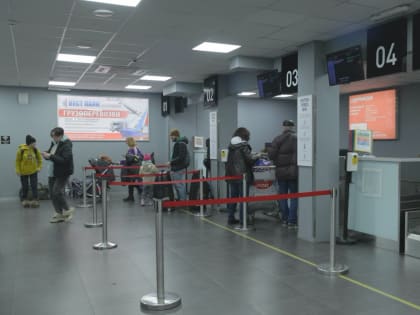 Владимир Солодов: с Камчатки стали вывозить значительно меньше икры непромышленного производства