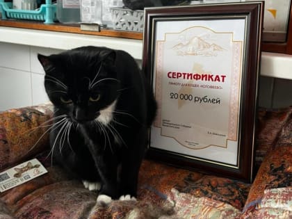 Приюту «Котофеево» передали помощь от депутатов "Единой России"