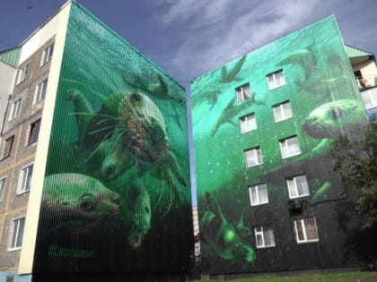 Еще 25 граффити украсят фасады зданий в столице Камчатки