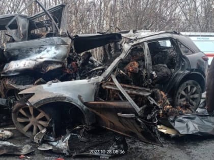 Камчатская полиция устанавливает обстоятельства ДТП с 5 погибшими людьми