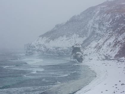 К берегам Камчатки приближается циклон