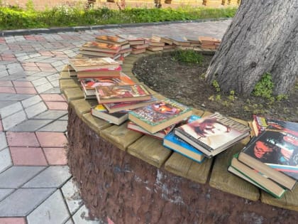 Камчатские школьники приняли участие во Всероссийской олимпиаде