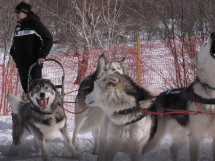 В Долине уюта стартовал фестиваль “Елизовский спринт”