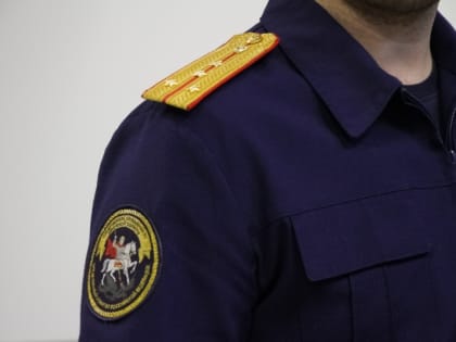 На Камчатке 12-летний мальчик отравился электронной сигаретой