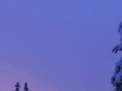 Новогодняя горячая линия