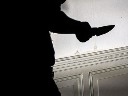 На Камчатке насильник ударил ножом полицейского, который пытался его задержать