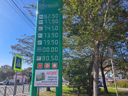 Министр по развитию ДВ и Арктики рассказал, где, сколько и почему стоит бензин в регионе