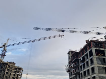 Юрист Юлия Толмачева: 