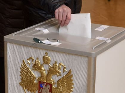 В Елизовском районе выберут депутата Заксобрания взамен выбывшего Юрия Ломакина