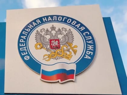 Стартовала декларационная кампания 2025 года