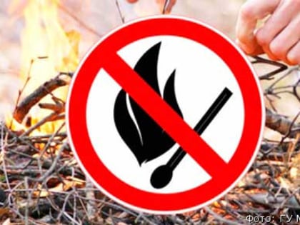 Из-за хорошей погоды жителям севера Камчатки грозят штрафы за поход в лес