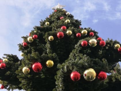 Россияне потратят рекордную сумму на Новый год - ВЦИОМ