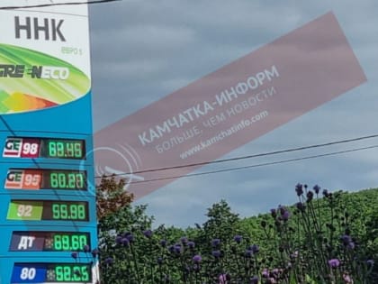 На Камчатке в пятый раз с начала года подорожал бензин