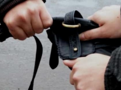 Грабители на Камчатке покалечили женщину, вырывая из ее рук сумку