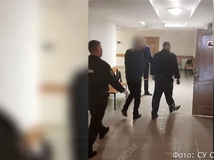 Житель Камчатки шесть раз ударил ножом 4-летнего сына